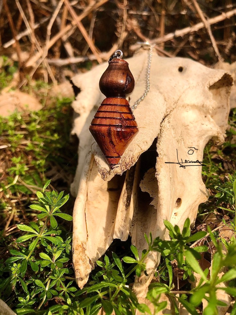 Pendule de radiesthésie en bois doré appuyé contre un crâne animal en extérieur