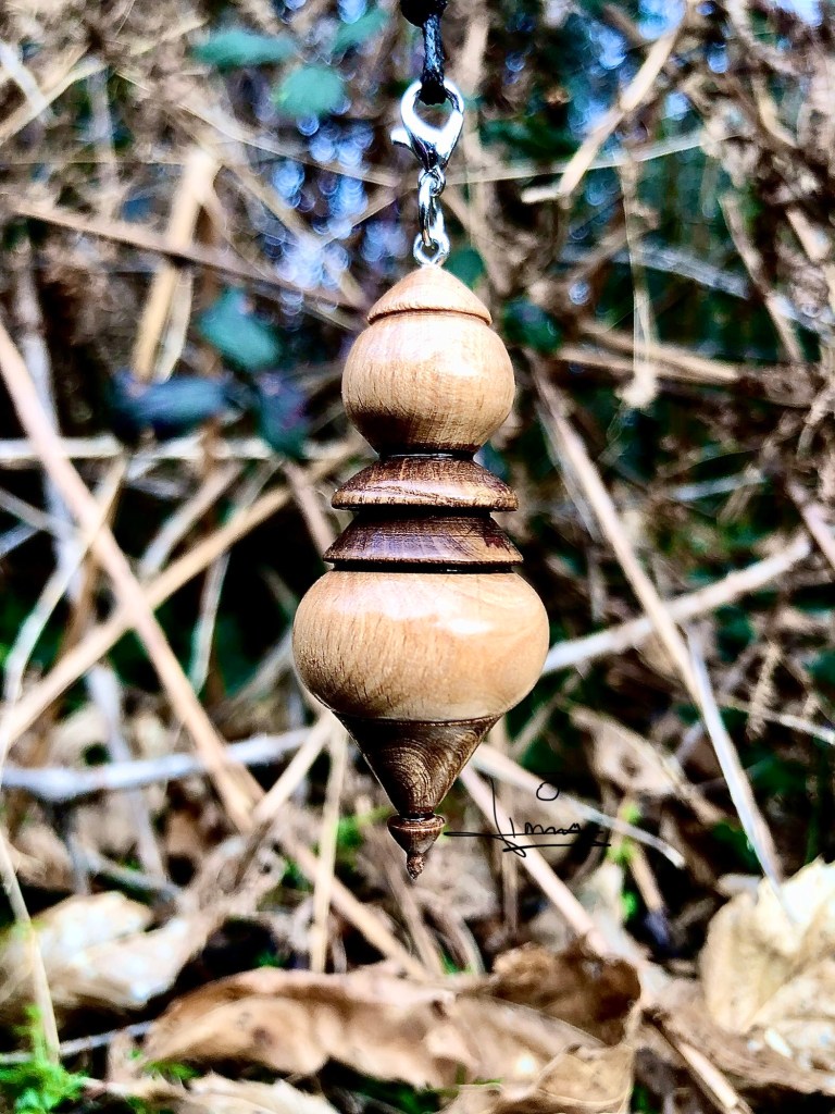 Pendule de radiesthésie en bois brun, suspendu à un cordon noir sur un décor végétal